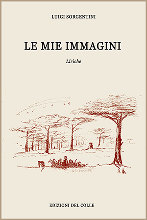 LE MIE IMMAGINI